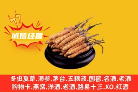 许昌回收冬虫夏草